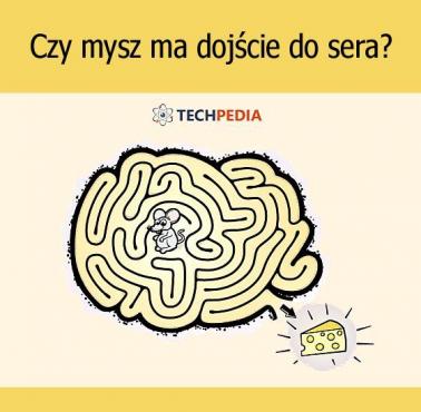 Czy mysz ma dojście do sera?