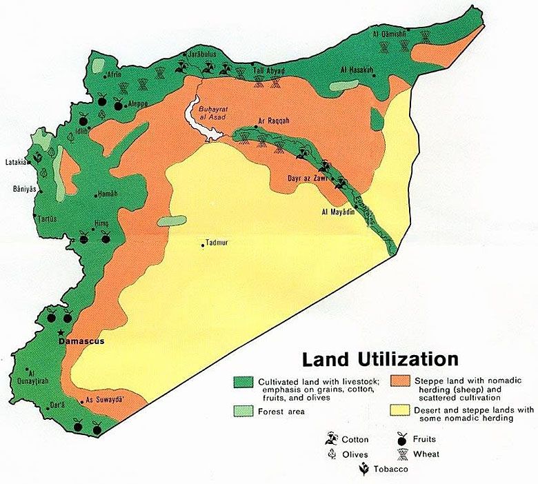 Uprawy w Syrii w 1979 roku