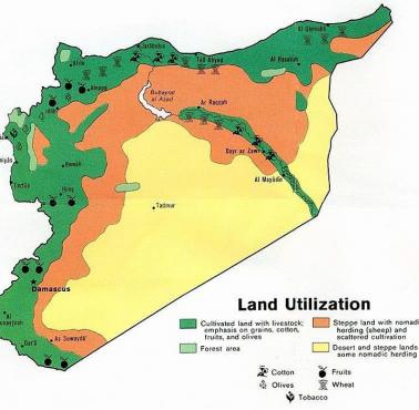Uprawy w Syrii w 1979 roku