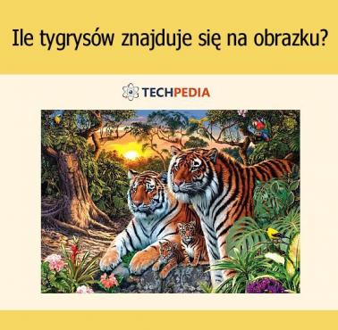 Ile tygrysów znajduje się na obrazku?