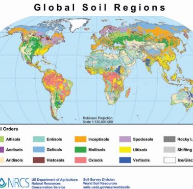 Rodzaje gleby na świecie, 2005