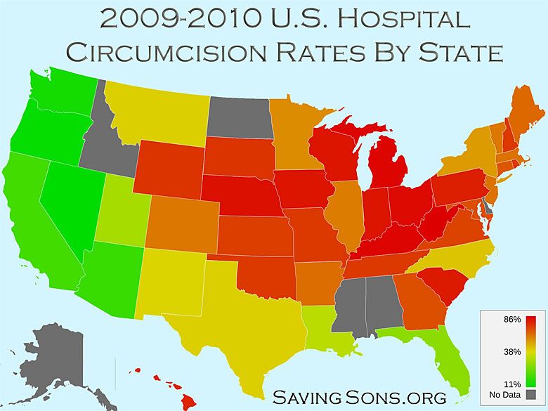 Procent obrzezanych w poszczególnych stanach USA (dane 2009-2010)