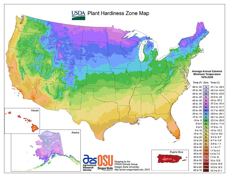 Średnia roczna temperatura minimalna w USA (dane od 1976-2010)