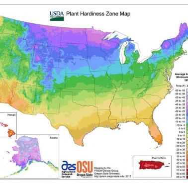 Średnia roczna temperatura minimalna w USA (dane od 1976-2010)