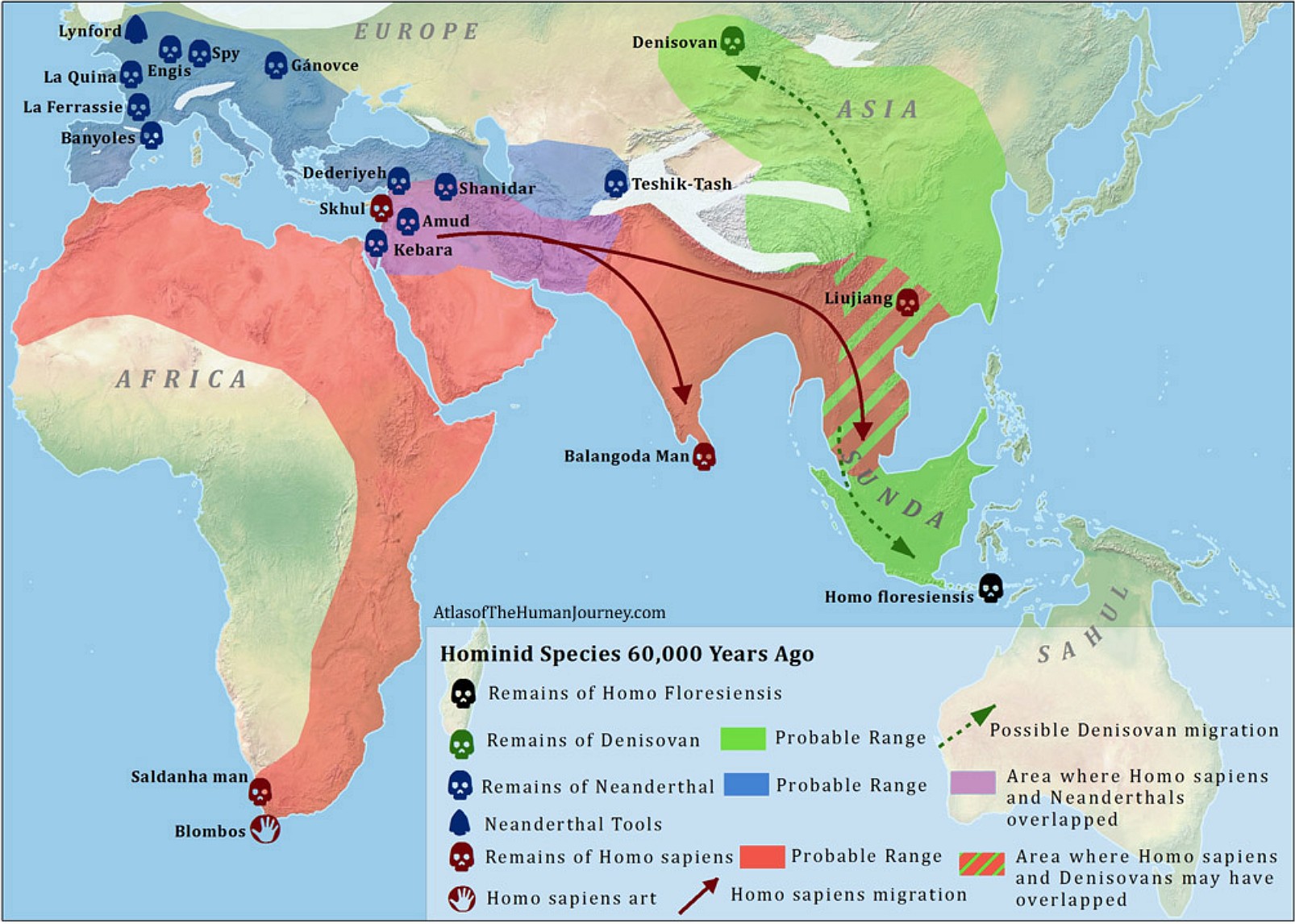 Hominidy w Afro-Eurazji około 60 000 lat temu