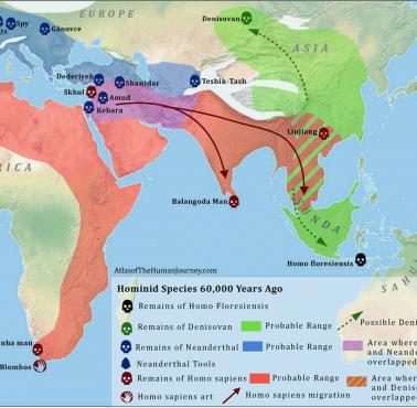 Hominidy w Afro-Eurazji około 60 000 lat temu