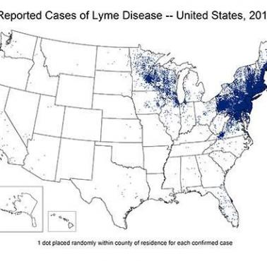 Mapa występowania przypadków boreliozy w USA (dane 2015)