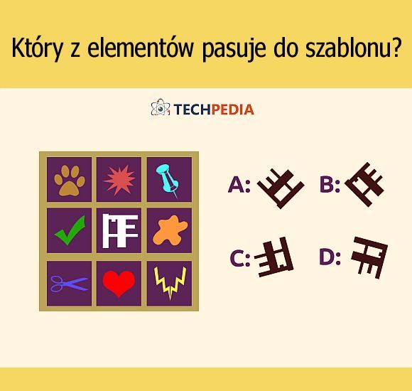 Który z elementów pasuje do szablonu?