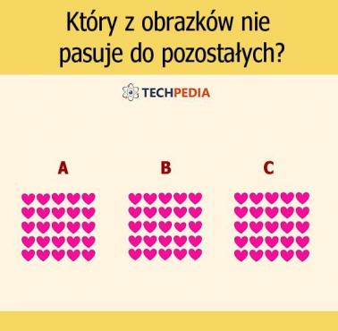 Który z obrazków nie pasuje do pozostałych?