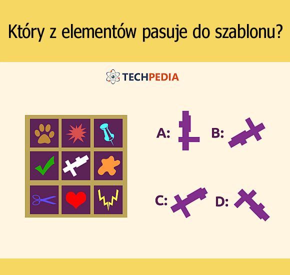 Który z elementów pasuje do szablonu?