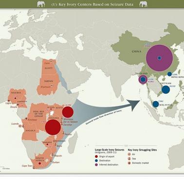 Mapa handlu kością słoniową, główne rynki, szlaki transportowe