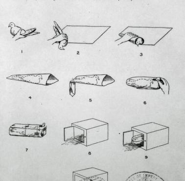 Instrukcja przenoszenia gołębi w jednostkach wojskowych, 1919
