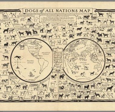 Opracowana w 1936 roku mapa psów pochodzących z różnych państw świata