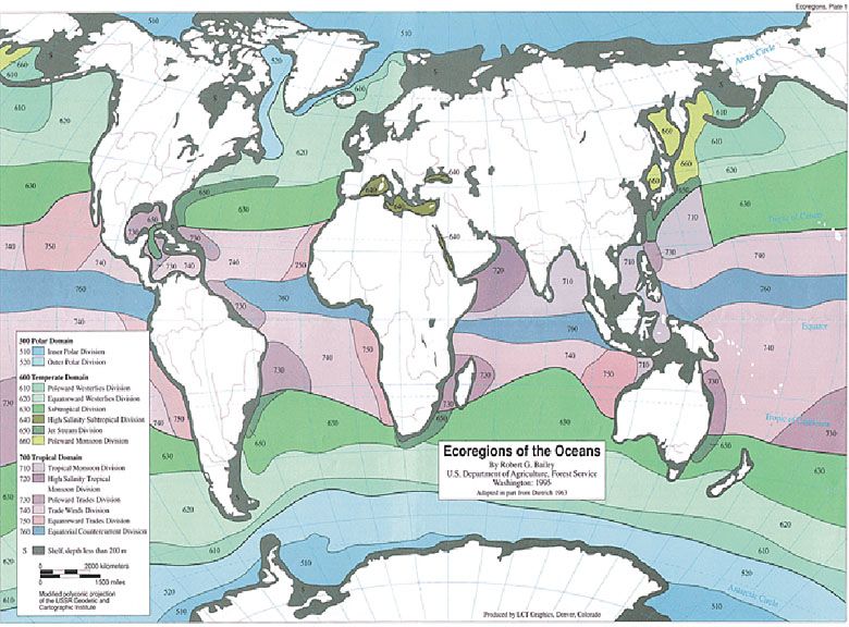 Ekoregiony oceanów
