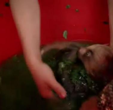 Absolutnie słodki malutki leniwiec podczas kąpieli, a na końcu dostał .... (wideo)