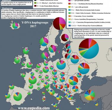 Przybliżone rozmieszczenie haplogrup Y-DNA - Europa, dane 2017