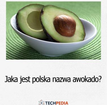 Jaka jest polska nazwa awokado?