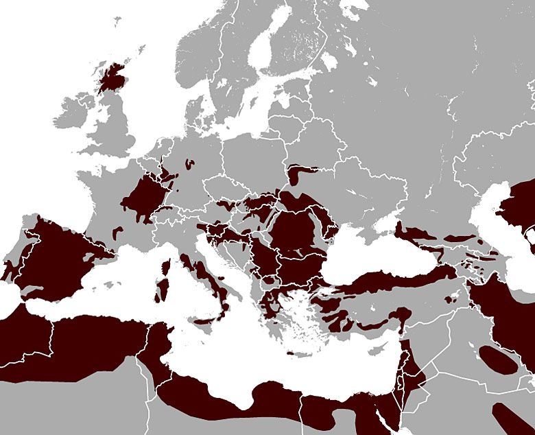 Zasięg występowania w Europie żbika (Felis silvestris) - gatunek  drapieżnego ssaka z rodziny kotowatych