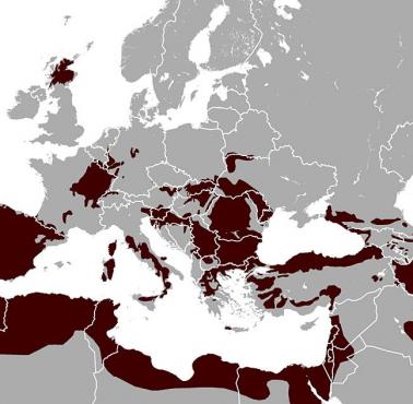 Zasięg występowania w Europie żbika (Felis silvestris) - gatunek drapieżnego ssaka z rodziny kotowatych