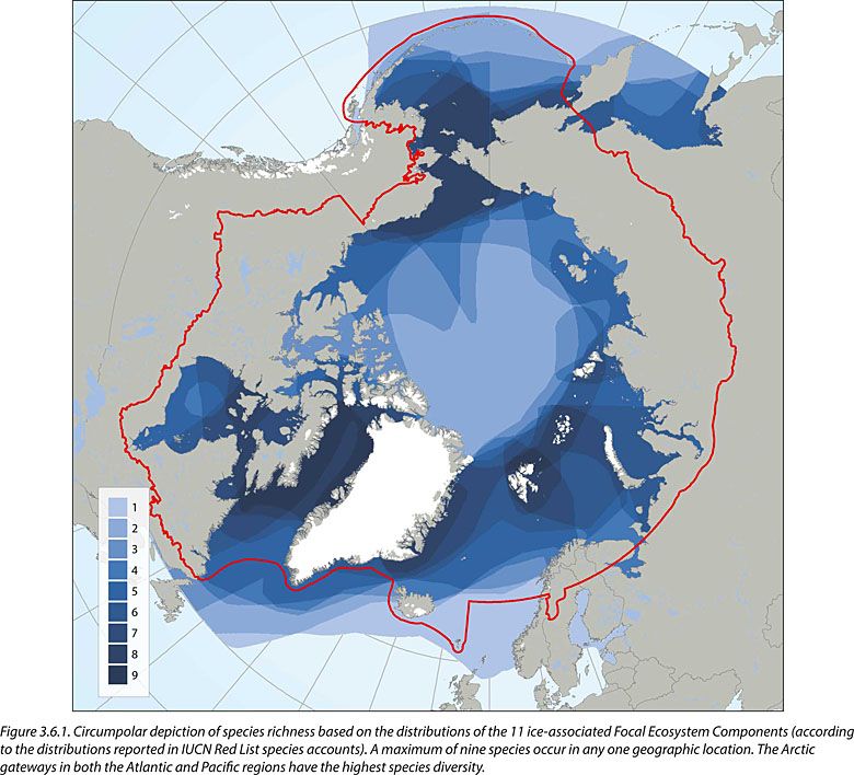 Bogactwo gatunków morskich w Arktyce, dane The Conservation of Arctic Flora and Fauna (CAFF)