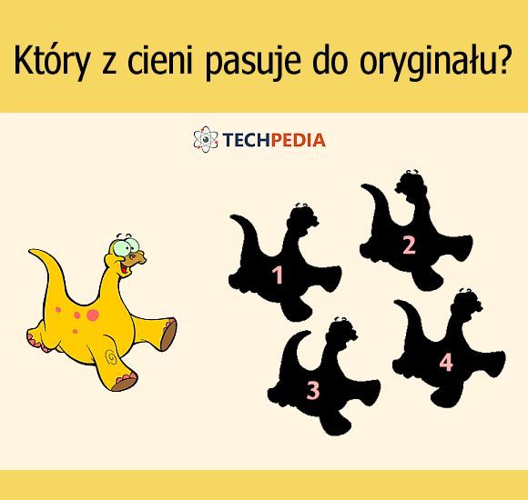 Który z cieni pasuje do oryginału?