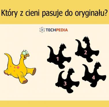 Który z cieni pasuje do oryginału?