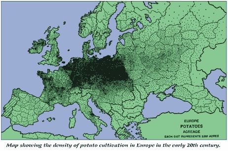 Mapa przedstawiająca gęstość uprawy ziemniaków na początku XX wieku w Europie