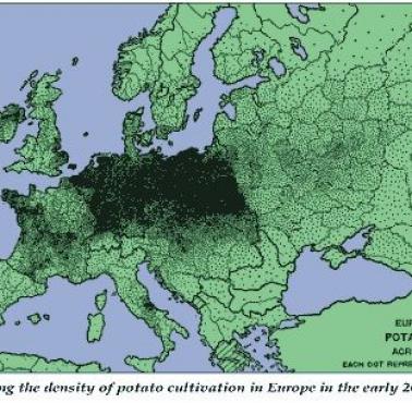 Mapa przedstawiająca gęstość uprawy ziemniaków na początku XX wieku w Europie