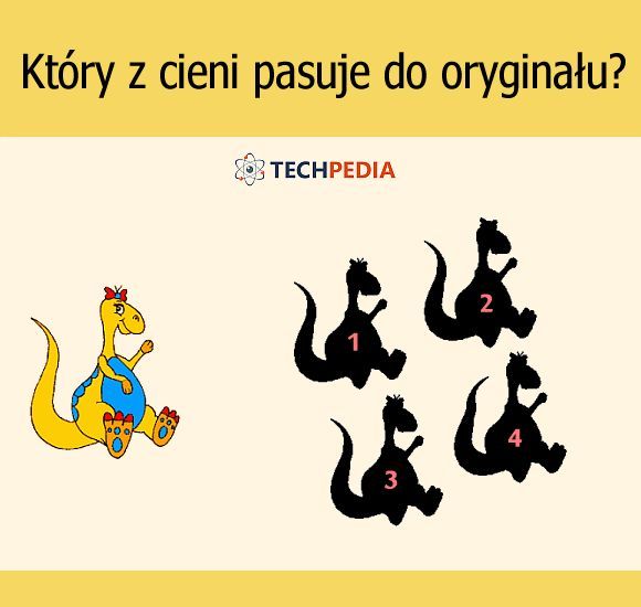 Który z cieni pasuje do oryginału?