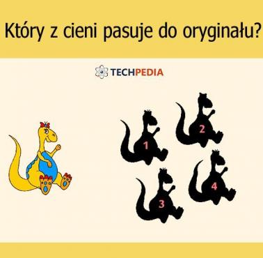 Który z cieni pasuje do oryginału?