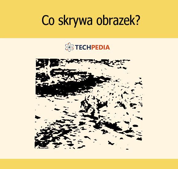 Co skrywa obrazek?