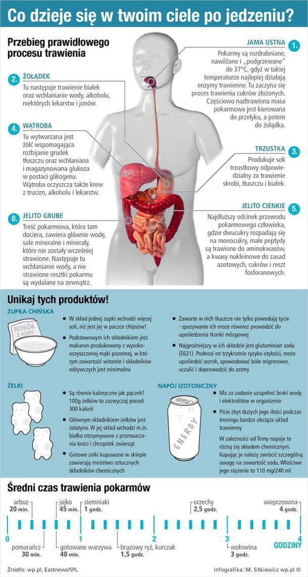 Co dzieje się w twoim ciele po jedzeniu?