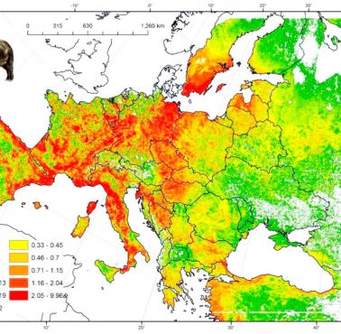 Występowanie dzików w Europie