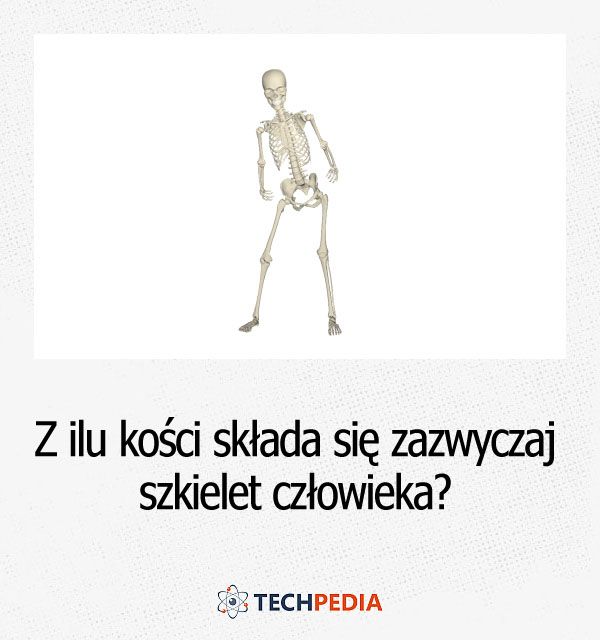 Z ilu kości składa się zazwyczaj szkielet człowieka?