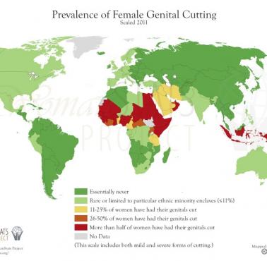 Kraje, gdzie wykonuje się zabieg obrzezania kobiet (Klitoridektomia), 2011