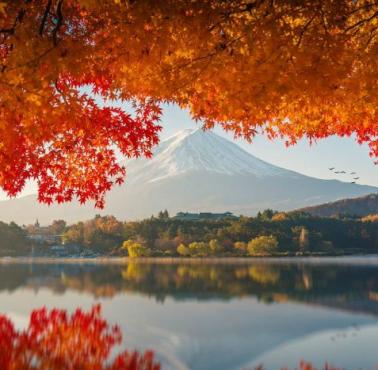 Góra Fuji w jesiennych kolorach