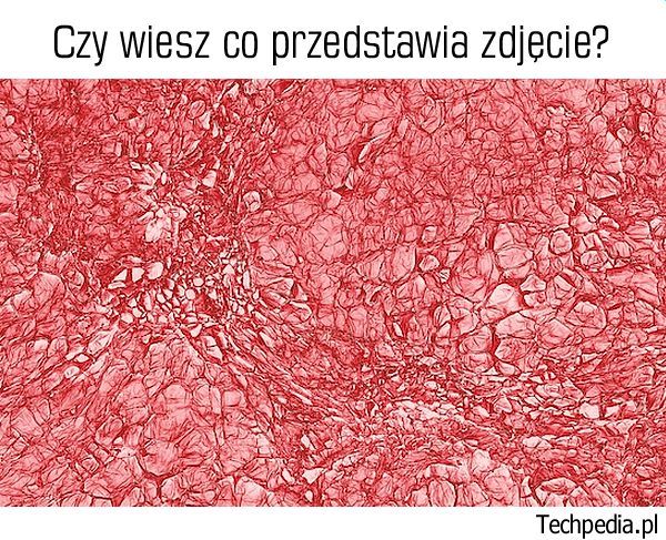 Co przedstawia zdjęcie?