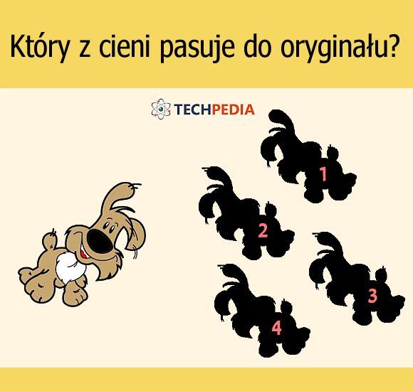 Który z cieni pasuje do oryginału?