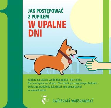 Jak postępować z pupilem w upalne dni