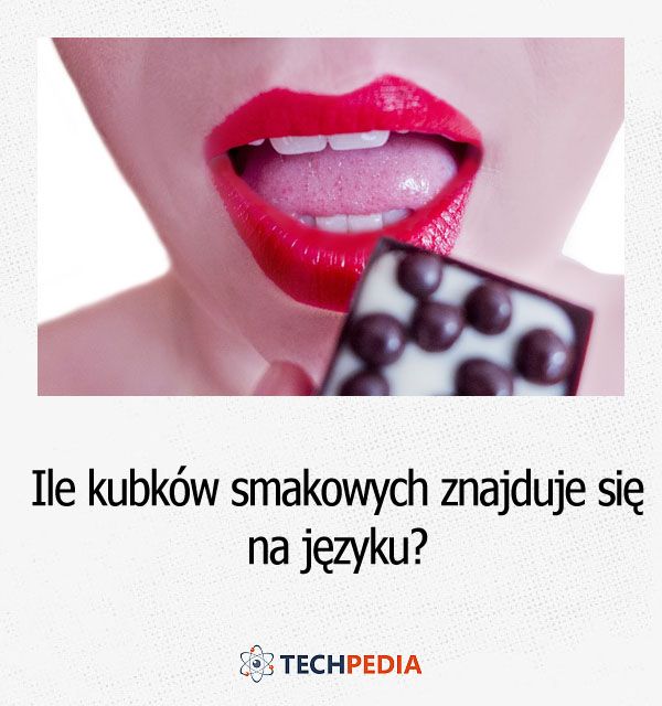 Ile kubków smakowych znajduje się na języku?