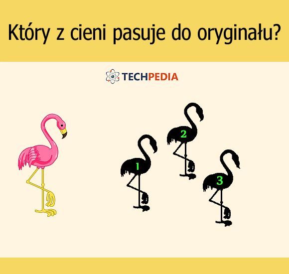 Który z cieni pasuje do oryginału?