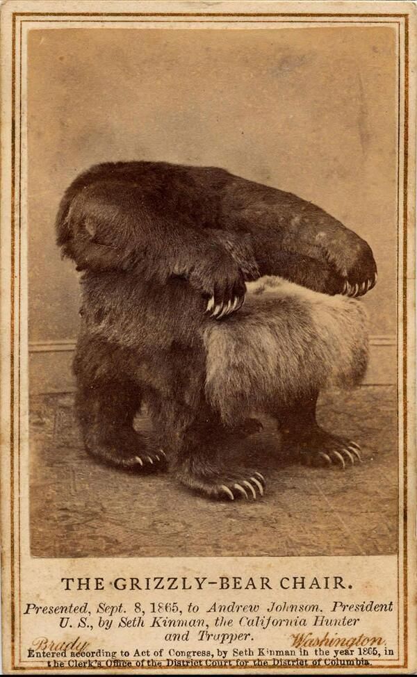 Fotel z niedźwiedzia grizzly, 1865