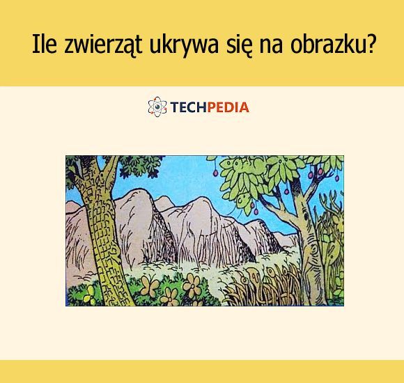 Ile zwierząt ukrywa się na obrazku?