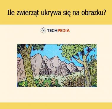 Ile zwierząt ukrywa się na obrazku?