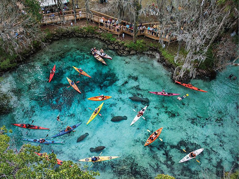 Three Sisters Springs, Floryda, USA