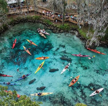 Three Sisters Springs, Floryda, USA