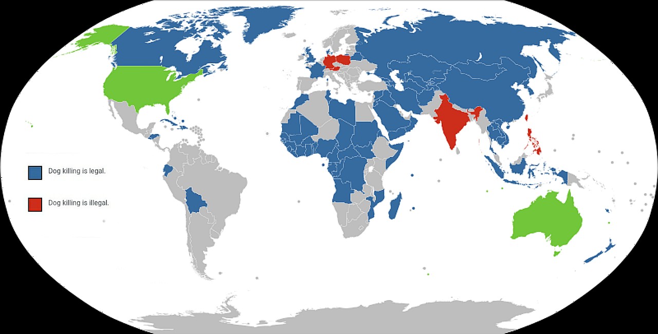 Światowe przepisy dotyczące zabijania psów w celach konsumpcyjnych