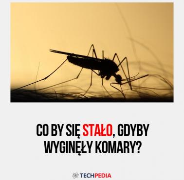 Co by się stało, gdyby wyginęły komary?