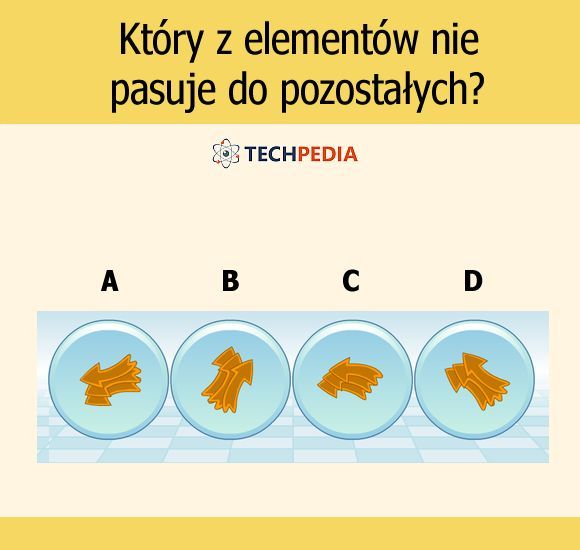 Który z elementów nie pasuje do pozostałych?