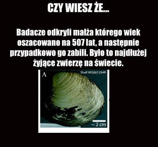 Małż